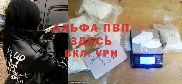 ПСИЛОЦИБИНОВЫЕ ГРИБЫ Заволжье