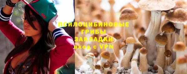 Альфа ПВП Заводоуковск