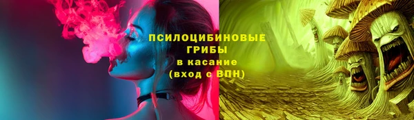 ПСИЛОЦИБИНОВЫЕ ГРИБЫ Заволжье