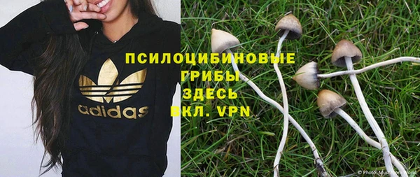 меф Заволжск