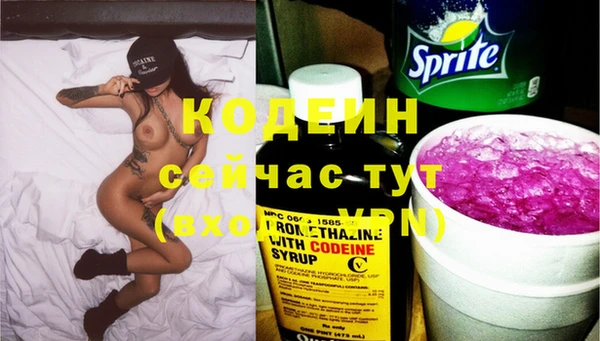 ПСИЛОЦИБИНОВЫЕ ГРИБЫ Заволжье