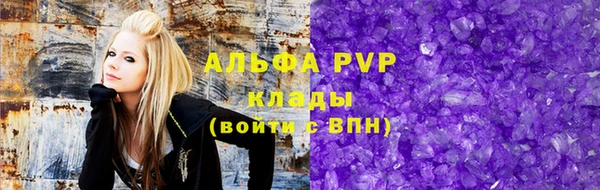 ПСИЛОЦИБИНОВЫЕ ГРИБЫ Заволжье