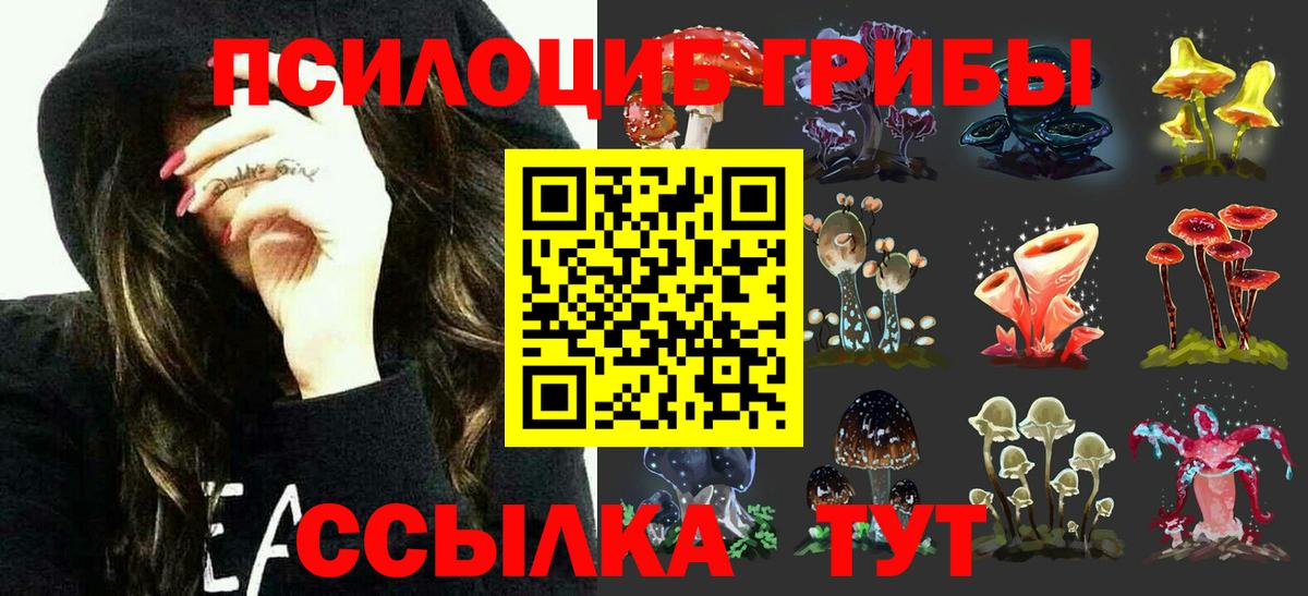 Галлюциногенные грибы Magic Shrooms Серпухов