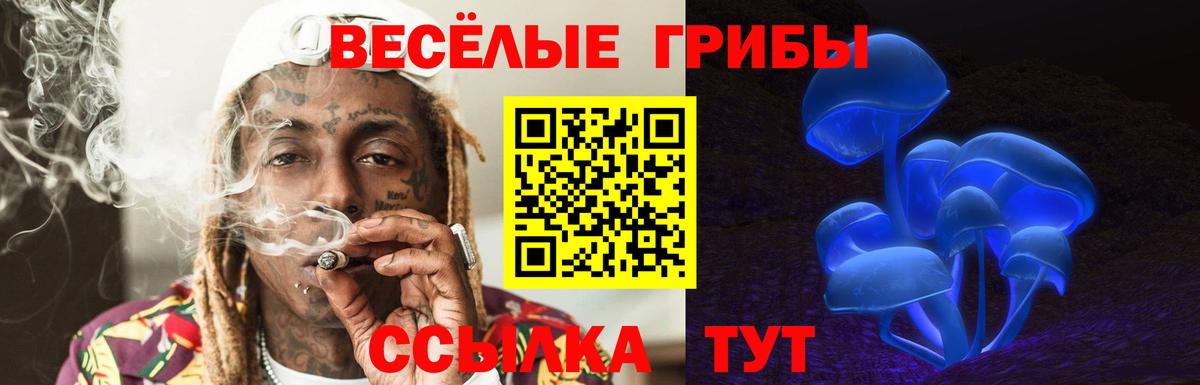 Псилоцибиновые грибы GOLDEN TEACHER  наркошоп  Серпухов  Вход с VPN  Псилоцибиновые грибы мицелий 